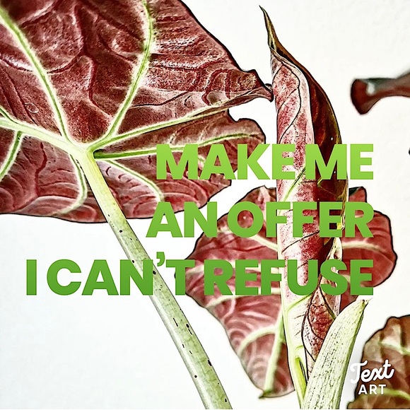 REASONABLE OFFERS👍 - Picture 4 of 13